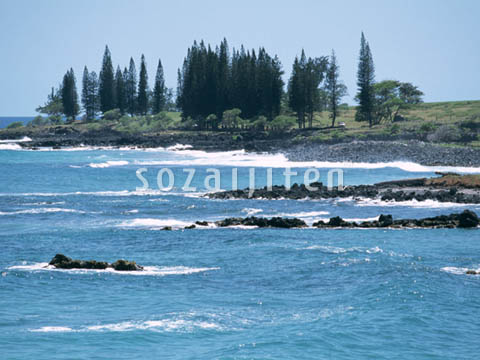 �f�ގ��TVol.140�q�n���C-�A���n�ҁr