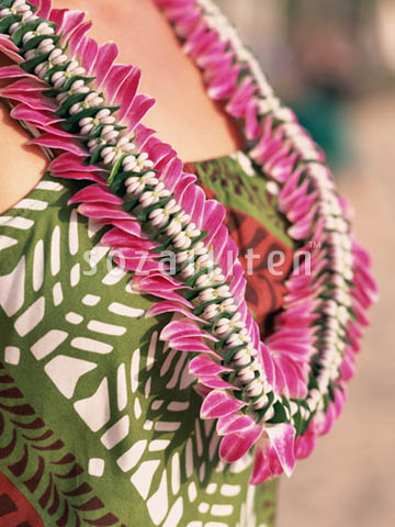 �f�ގ��TVol.140�q�n���C-�A���n�ҁr