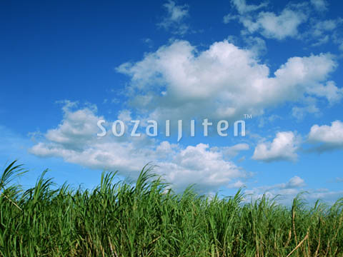 �f�ގ��TVol.140�q�n���C-�A���n�ҁr