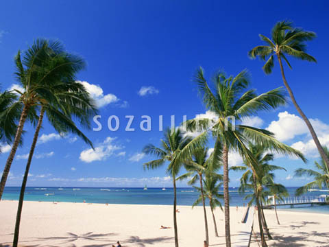 �f�ގ��TVol.140�q�n���C-�A���n�ҁr