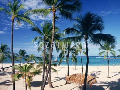 �f�ގ��TVol.140�q�n���C-�A���n�ҁr