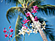 �f�ގ��TVol.140�q�n���C-�A���n�ҁr�摜003