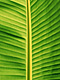 �f�ގ��TVol.140�q�n���C-�A���n�ҁr�摜093