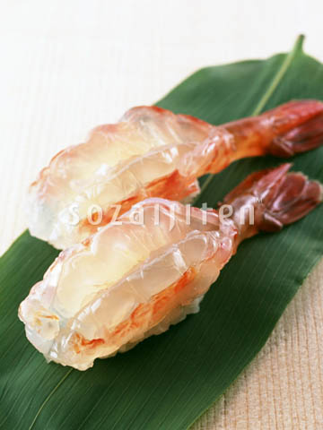 �f�ގ��TVol.144�q齥�h�g-�a�H�̃C���[�W�ҁr