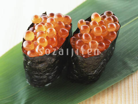 �f�ގ��TVol.144�q齥�h�g-�a�H�̃C���[�W�ҁr