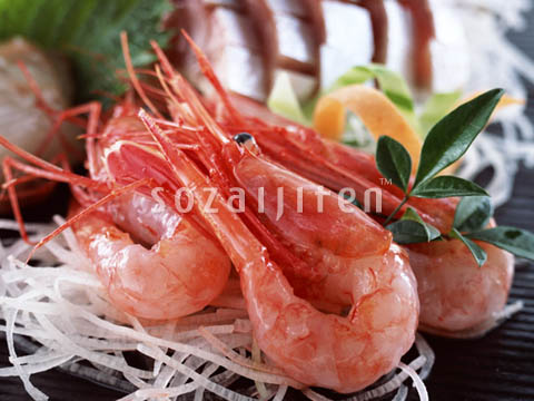�f�ގ��TVol.144�q齥�h�g-�a�H�̃C���[�W�ҁr
