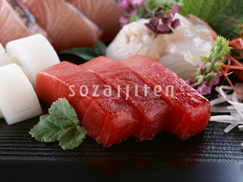 �f�ގ��TVol.144�q齥�h�g-�a�H�̃C���[�W�ҁr