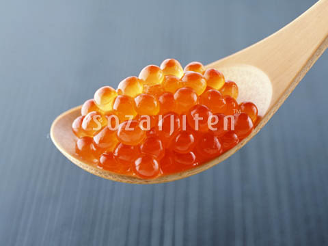 �f�ގ��TVol.144�q齥�h�g-�a�H�̃C���[�W�ҁr