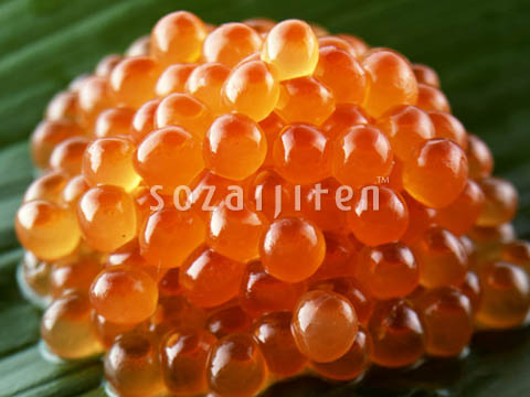 �f�ގ��TVol.144�q齥�h�g-�a�H�̃C���[�W�ҁr