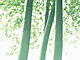 �f�ގ��TVol.146�q�l�G�E���{�̉Ԗؕҁr�摜104