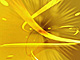�f�ގ��TVol.147�qCG�o�b�N�O���E���h-�|�b�v&�X�C�[�g�ҁr�摜091
