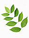 �f�ގ��TVol.148�q�t�E�O���[�����[�t�ҁr�摜181