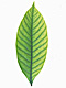 �f�ގ��TVol.148�q�t�E�O���[�����[�t�ҁr�摜009