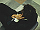 �f�ގ��TVol.149�q�r�W�l�X�g�D�f�C�ҁr�摜093